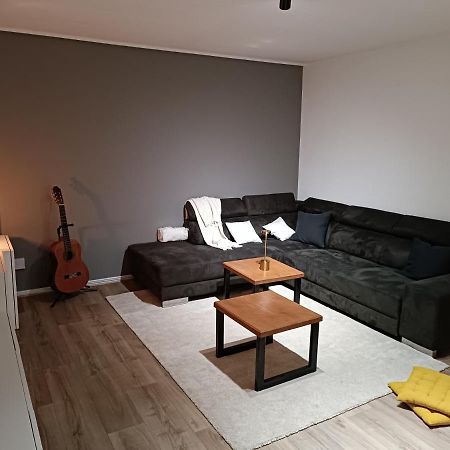 Stylish 1-Bedroom Flat With Beautiful Terrace , For A Cosy Retreat Strasbourg Eksteriør bilde