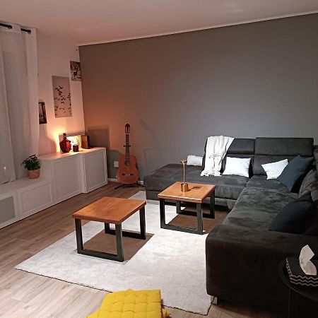 Stylish 1-Bedroom Flat With Beautiful Terrace , For A Cosy Retreat Strasbourg Eksteriør bilde