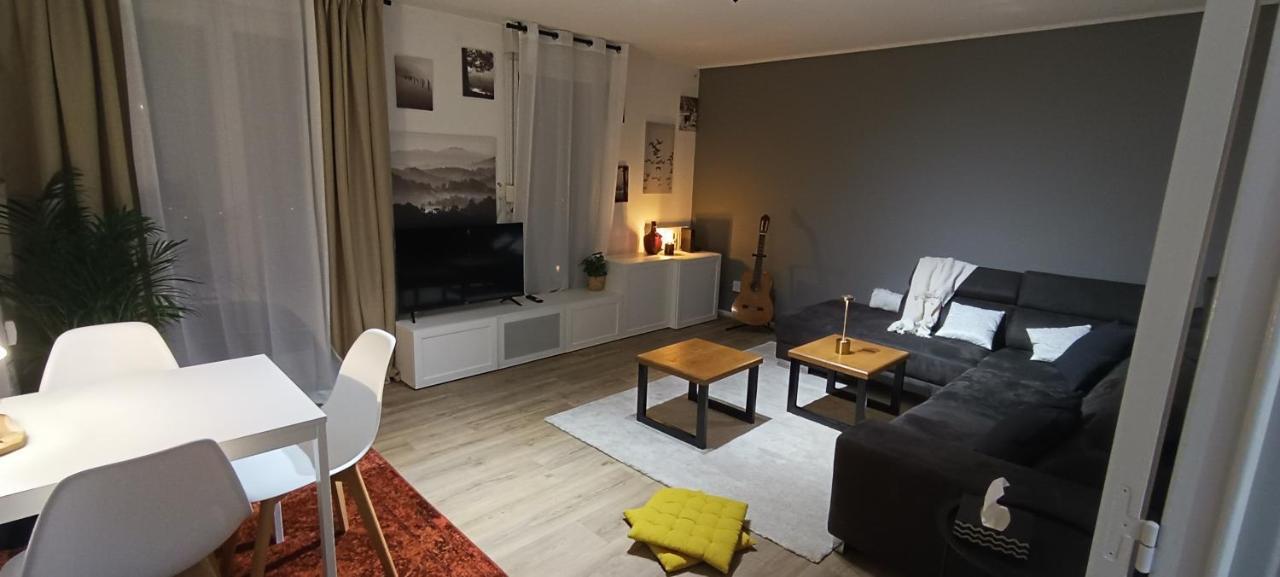 Stylish 1-Bedroom Flat With Beautiful Terrace , For A Cosy Retreat Strasbourg Eksteriør bilde