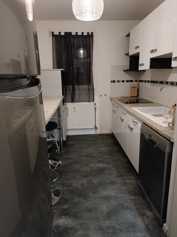 Stylish 1-Bedroom Flat With Beautiful Terrace , For A Cosy Retreat Strasbourg Eksteriør bilde