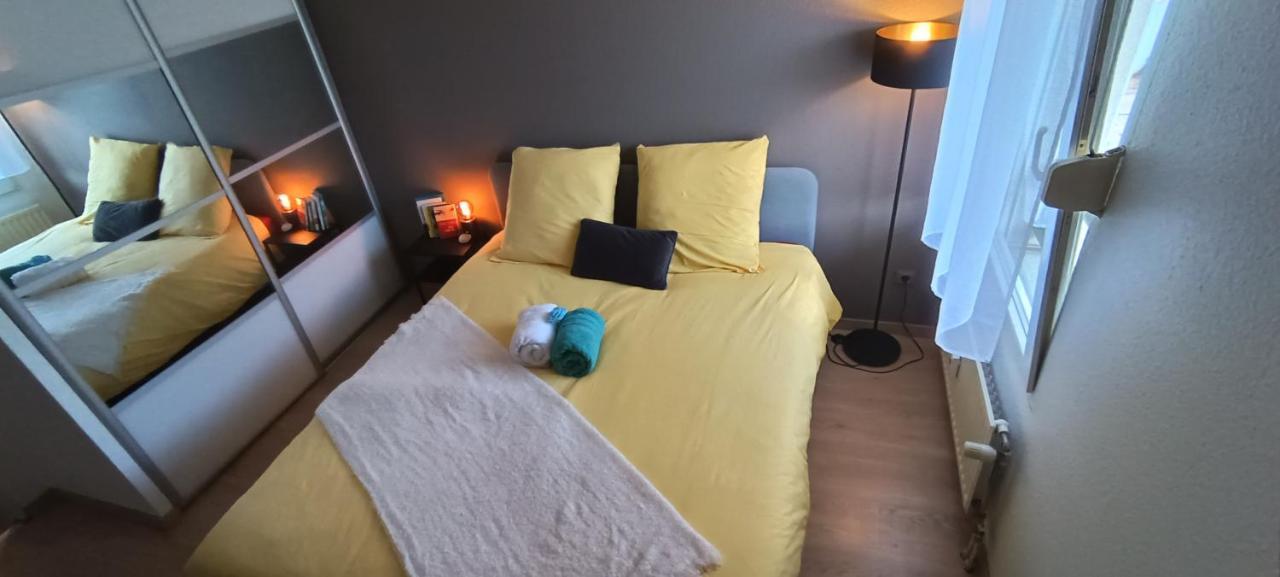Stylish 1-Bedroom Flat With Beautiful Terrace , For A Cosy Retreat Strasbourg Eksteriør bilde