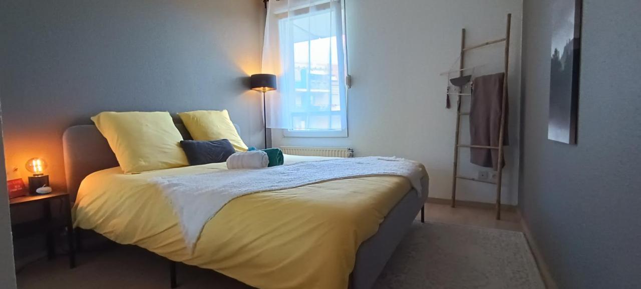 Stylish 1-Bedroom Flat With Beautiful Terrace , For A Cosy Retreat Strasbourg Eksteriør bilde